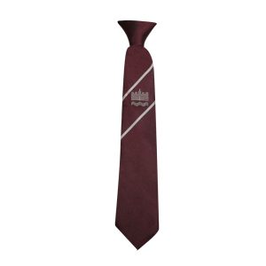 Custom School Ties