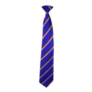 Custom School Ties