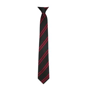 Custom School Ties